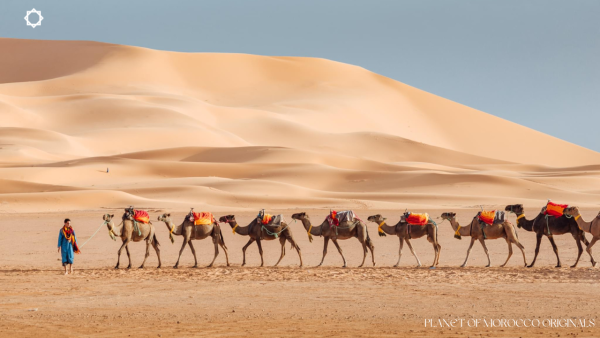 5-Day Private Luxury Desert tour from Tangier to Marrakech